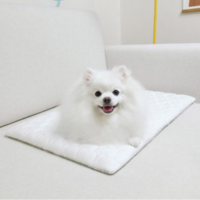 [페리가토] [강아지 고양이] 여름 쿨방석 쿨매트 듀라론 미니, 튤립, 1개