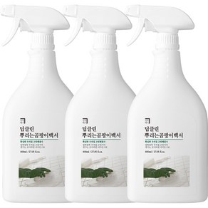 살림백서 딥클린 뿌리는 곰팡이백서, 3개, 800ml