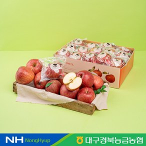 [대구경북능농협] 곰돌이 세척사과 (안동) 2.5kg 13과내 16과내, 1개, 14-16과