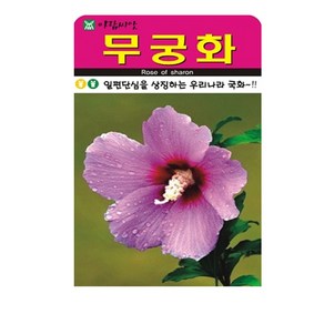 SN월드 씨앗 고급꽃씨 꽃씨앗, 1개