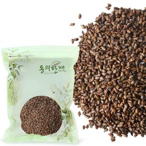 동의한재 국산 결명자, 500g, 1개, 1개입