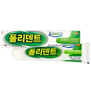 폴리덴트 후레쉬 민트 의치 부착재 70g, 1개입, 1개