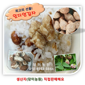 인디언감자(아피오스) 3kg/5kg 생산자 직판, 1개, 5kg, (중,대)