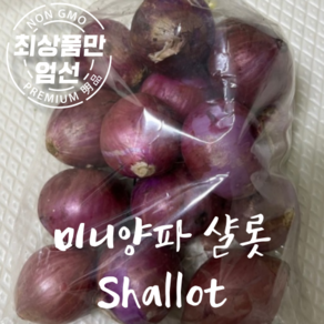 달큰한 미니양파 샬롯 Shallot