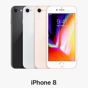 애플 아이폰8 iPhone8 64G/256G 정품