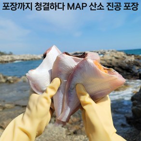 중매인직접 판매 경매 손질 발송 국내산 손질 생물 참가자미 MAP 산소 포장 최초