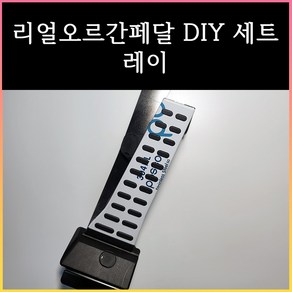 레이 오르간페달