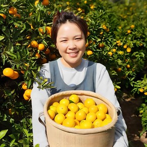 과일꾼 제주 귤 감귤 산지직송