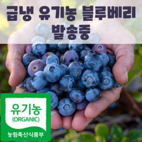 국내산 친환경 블루베리