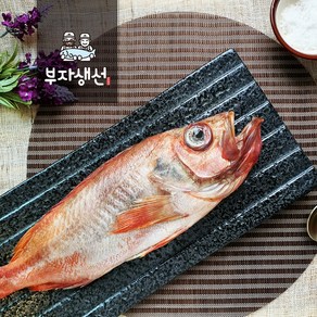 반건조 제수용생선 적어 빨간고기 장문뽈락(망미중앙시장 부자생선), 적어 대, 1개