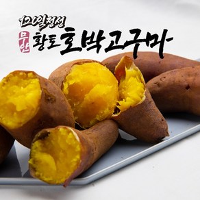 [착한농부] 기영민 무안 황토땅 호박고구마 특상10kg# 속노란고구마, 1개