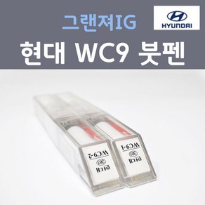 순정품 현대모비스 그랜져IG WC9 (2개세트) 붓펜 자동차 차량용 카페인트