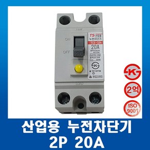 태성전기 산업용 누전차단기 TCE 32h-2P 20A, 1개