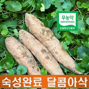 친환경 야콘 햇야콘 최상품갈림적음, 1개, 3kg