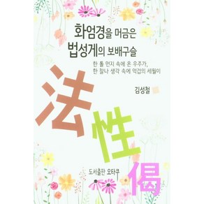 화엄경을 머금은 법성게의 보배구슬:한 톨 먼지 속에 온 우주가 한 찰나 생각 속에 억겁의 세월이