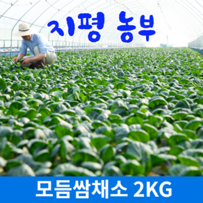 [물맑은 양평] GAP인증 지평 농부 모듬쌈2kg, 1개