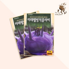 미래웰빙적콜라비 800립 미래종묘 열매채소류 씨앗, 1개