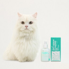 리스펫랩 고양이 진정 딥 안티세범 클렌징겔 클리너, 150ml, 1개