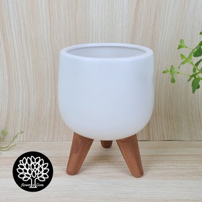 플라워앤곰 삼발이M화분 소품화분 높이16cm, [01] 화이트(White), 1개