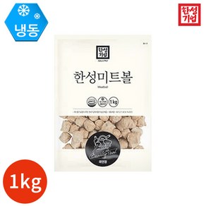 한성기업 미트볼 1000g x 1봉, 1개, 1kg