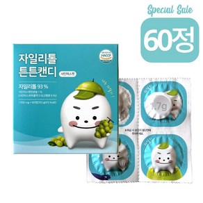 자일리톨 핀란드산 튼튼캔디 60정 (+4정더), 1개, 102g