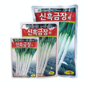 신흑금장 흑금장 대파씨앗 대파씨 종자, 신흑금장 80g, 1개