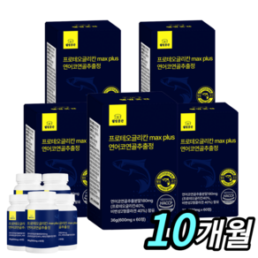 [최적배합] 프로테오글리칸 100% 연어코연골 추출물 HACCP 식약처 600mg 보스웰리아 우슬 상어연골 프리테오글리칸 웰빙곳간, 60정, 5개