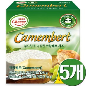 페이장브레통 르 까망베르치즈 125g, 5개