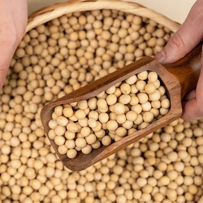 꼰스테이블 메주콩 국산 100% 백태 생콩 노란콩 꼰대들의 다정한 식탁, 1개, 150g