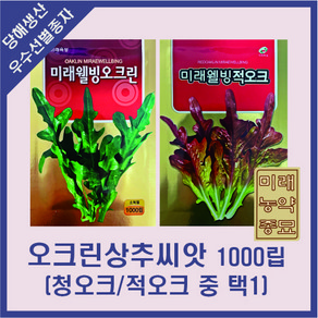 국내산 미래웰빙 오크상추 씨앗 1000립 (소독필) - 청오크/적오크 중 택1, 청오크린상추, 1개