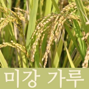 국내산 미강분말 미강(쌀겨)분말 미강가루 쌀겨가루 미강파우더 국내산 100%, 300g, 1개