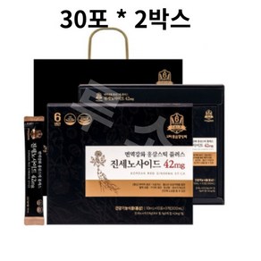 고려홍삼중앙회 6년근 진세노사이드 42mg 홍삼스틱 플러스 30포 X 2박스(2개) 쇼핑백, 300ml, 2개