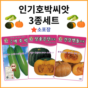 [주주씨앗] 호박씨앗 3종세트 애호박 맷돌호박 단호박 호박씨 호박종자 밤호박 씨, 1개