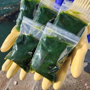 산지직송 생물 찰진 완도산 햇매생이 100g 1개, 100mg