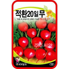 적환 20일무 씨앗 1000립 무우 종자 red radish seed 빨강 소형 무