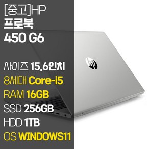 HP PoBook 450 G6 15.6인치 인텔 8세대 Coe-i5 RAM 16GB M.2 SSD + HDD 1TB 윈도우11설치 사무용 중고노트북, WIN11 Po, 1256GB, 코어i5, 실버