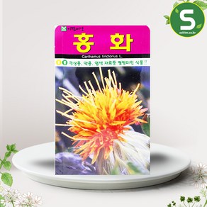 솔림텃밭몰 홍화씨앗 100립 꽃씨앗 꽃씨 홍화, 1개