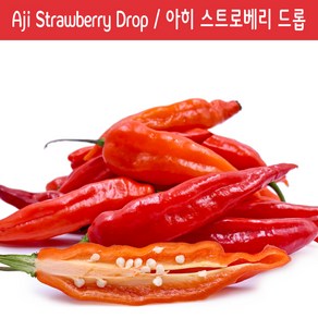 Aji Stawbey Dop / 아히 스트로베리 드롭 페퍼 희귀 고추 매운고추 특수작물, 1개