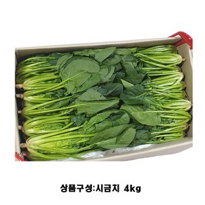 국내산 열무 시금치 쑥갓 부추 4kg 이내 백산상회, 1박스, 시금치4kg