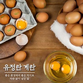 유정란 계란 초란 무항생제 달걀 30구 1판 특 대란 일반란, 유정란 초란 30구 - 1판(난각2번), 1개