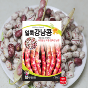 비넝쿨 얼룩 강낭콩 씨앗 콩씨앗 종자 토종 씨 30g, 1개