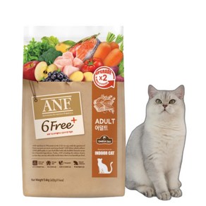 ANF 캣 식스프리플러스 어덜트 5.6kg 고양이사료, 닭+연어, 1개