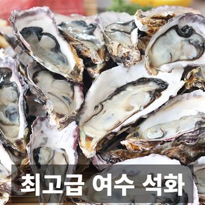 청담농수산 프리미엄 국내산 최고급 여수 석화, 1개, 5kg