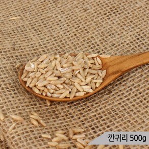 건강알곡 깐귀리 500g 앵무새 햄스터 영양간식 사료, 1개