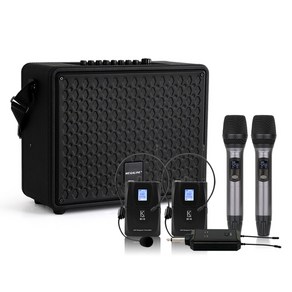 MEGALINE TA2200H2D2 200W 강의용무선마이크 충전식앰프 이동식앰프 휴대용스피커 포터블엠프, 본체 핸드 핸드 헤드셋 헤드셋