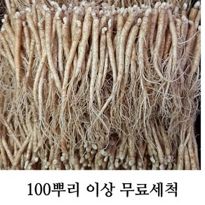 삼계탕용 갈비탕용 작은 실삼계 무료세척 실속형 100뿌리이상