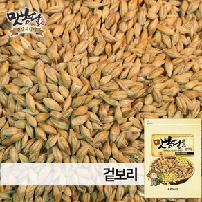 맛봉달 24년 겉보리 통보리 국내산, 1개, 10kg 마대포장