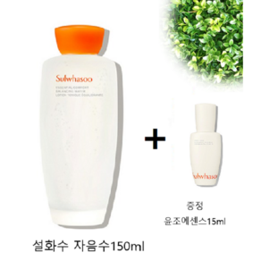 [설화수] 자음수(신형) 150ml + 윤조에센스 15ml 증정, 1개