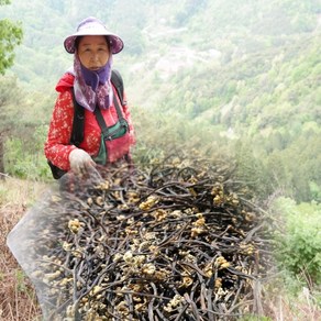 유기농인증 지리산 건고사리