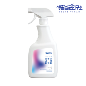 생활살균연구소 강력 곰팡이제거제 화장실 욕실 베란다 벽 청소세제 스프레이형, 1개, 750ml